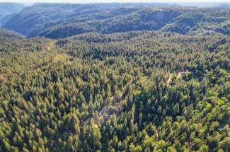 Acreage off Blue Canyon Road, Emigrant Gap