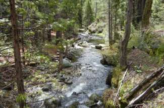 Emigrant Gap Acreage